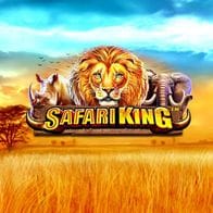 Safari King game icon